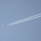 Illustration for article titled So What Were Those Secret Flying Wing Aircraft Spotted Over Texas?